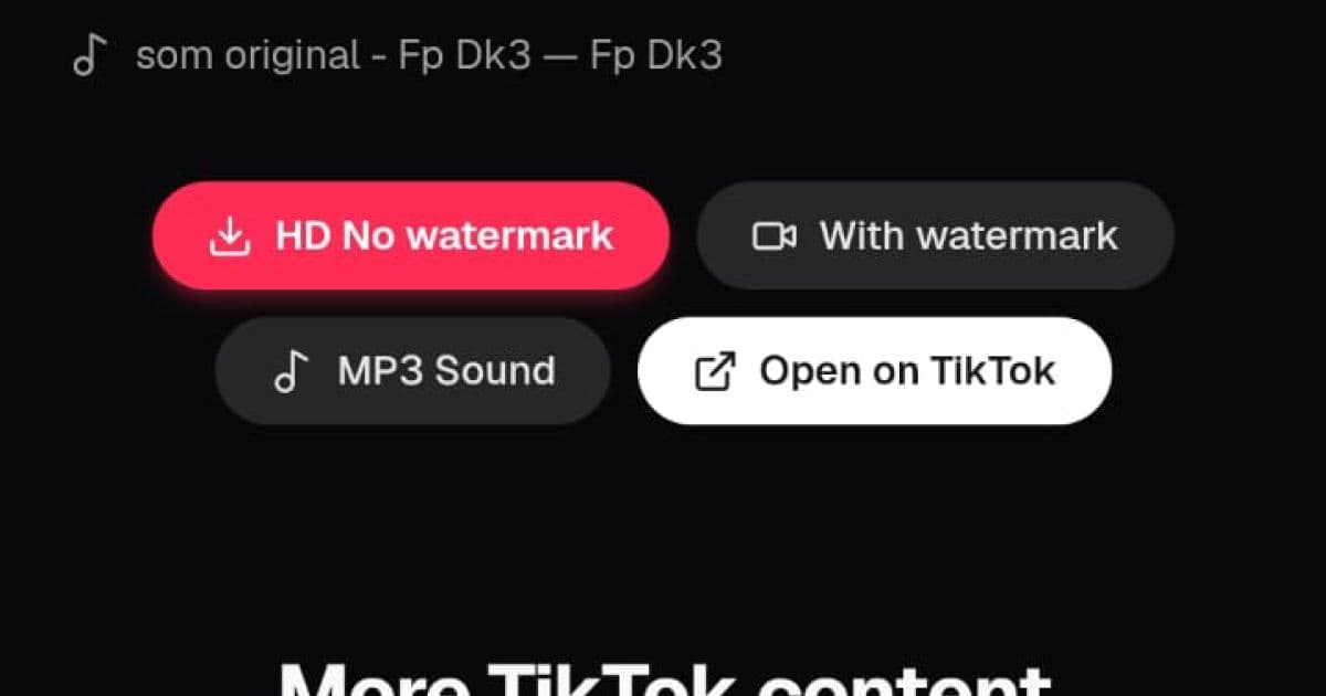 Screenshot of the preview page with download buttons