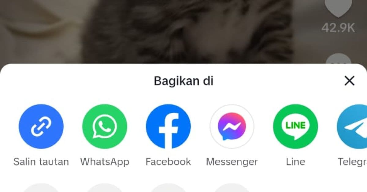 Screenshot of the TikTok Share menu with the Copy Link option