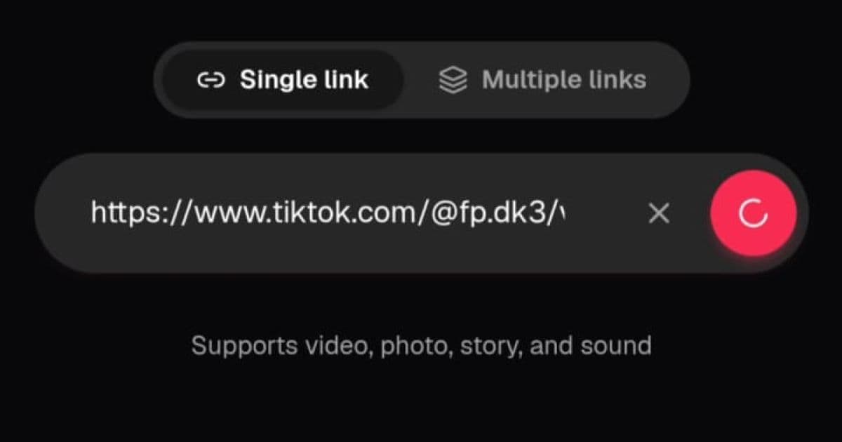 Screenshot of the CatchTik input field with a pasted TikTok link